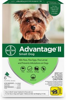 Advantage II For Dogs Under 10 lbs 12 Pack